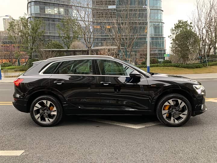 Audi e-tron 2019 2019款 55 quattro 技术型