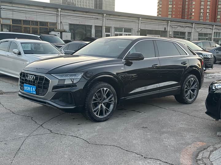 Audi Q8 2023 2023款 55 TFSI 豪华动感型