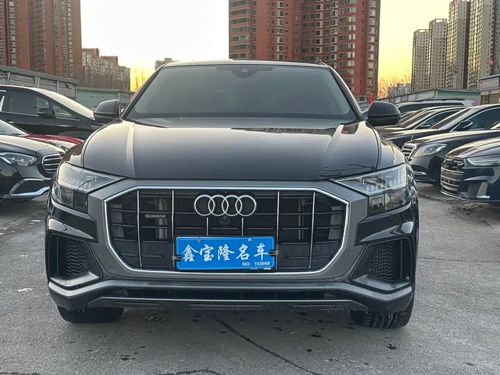 Audi Q8 2023 2023款 55 TFSI 豪华动感型