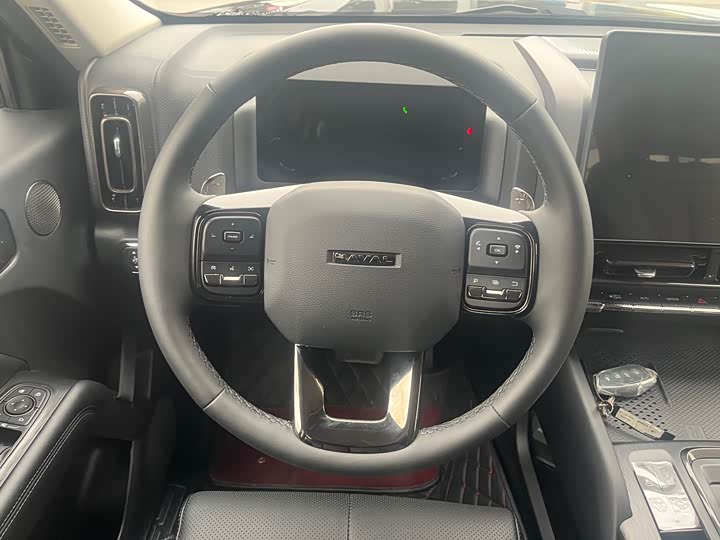 Haval H9 2024 2024款 2.0T 汽油四驱极境版