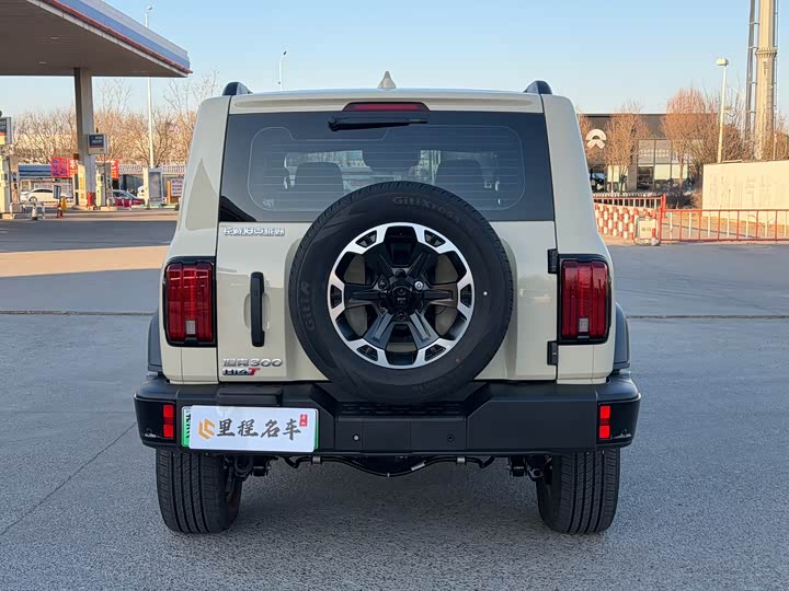 Tank 300 Hybrid 2025 2025款 Hi4-T 37.1kWh