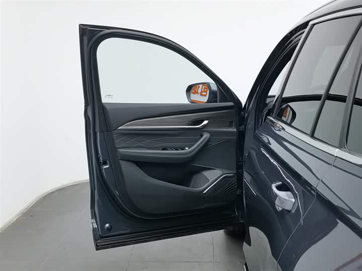 Geely Monjaro 2025 2025款 东方曜 2.0TD 自动揽星版