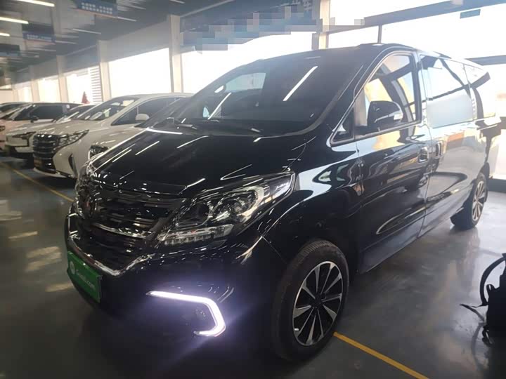 Dongfeng Forthing M7 2022 2022款 领爵款 2.0T 自动侯爵版