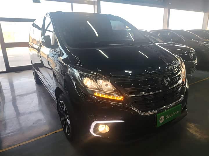 Dongfeng Forthing M7 2022 2022款 领爵款 2.0T 自动侯爵版