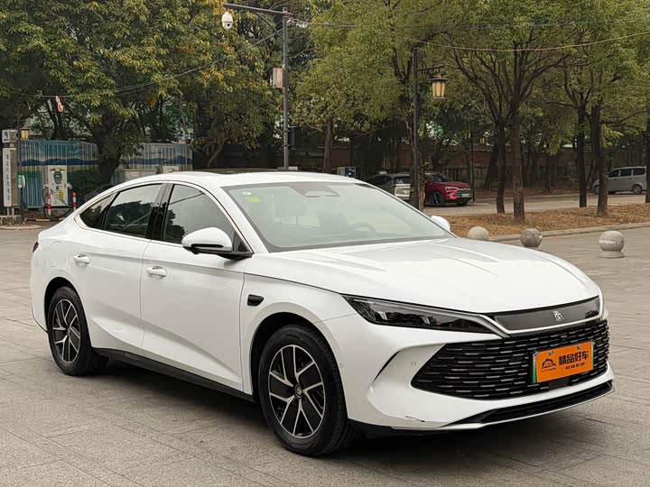 BYD Qin L 2025 2025款 DM-i 智驾版 120KM超越型