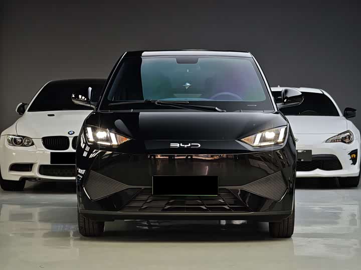 BYD Seagull 2025 2025款 智驾版 405km 自在版