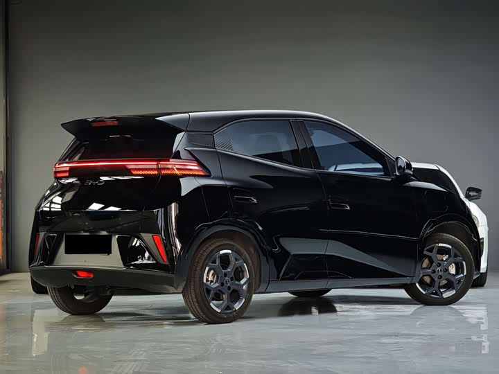 BYD Seagull 2025 2025款 智驾版 405km 自在版