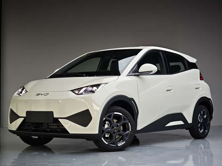 BYD Seagull 2025 2025款 智驾版 405km 自在版