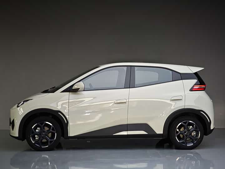 BYD Seagull 2025 2025款 智驾版 405km 自在版