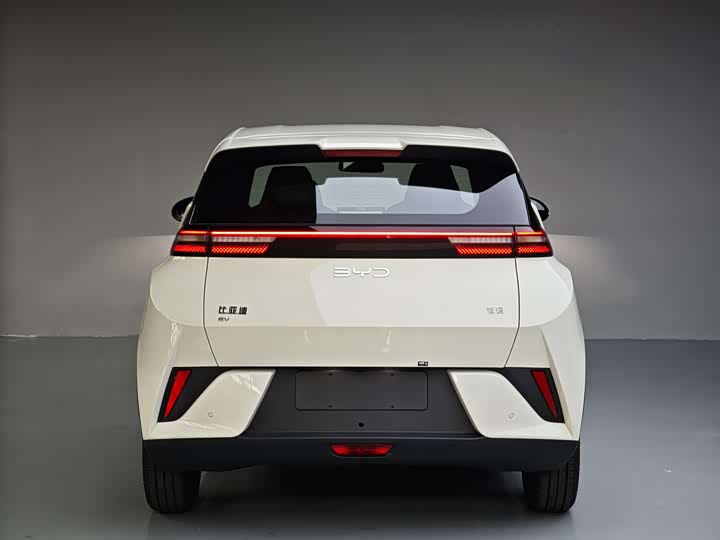 BYD Seagull 2025 2025款 智驾版 405km 自在版