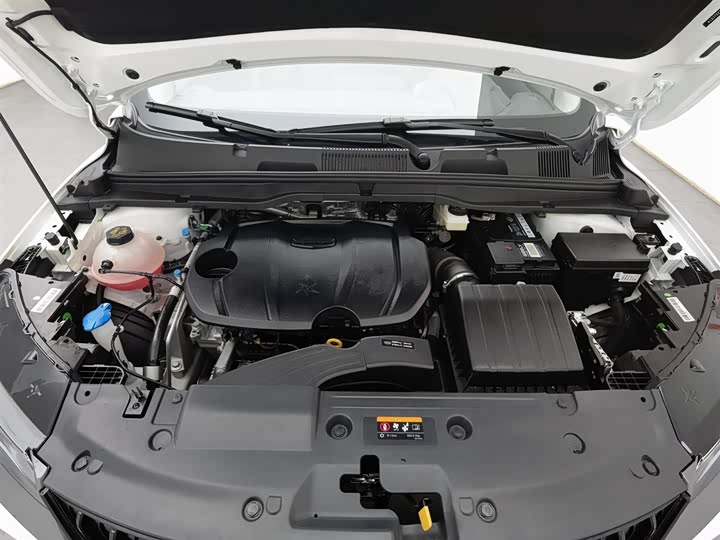 Geely Coolray 2024 2024款 1.5T DCT 龙腾