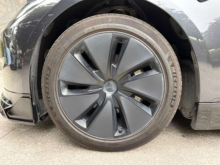 Tesla Model 3 2023 2023款 后轮驱动版