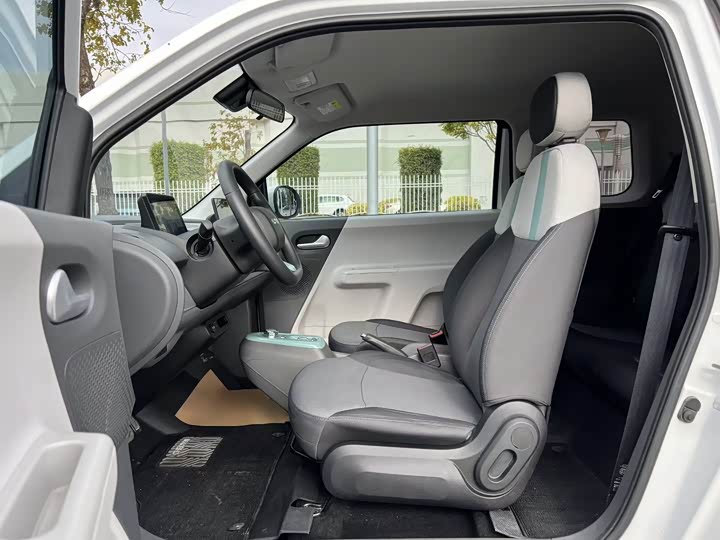 Changan Qiyuan (Nevo) Lumin 2025 2025款 205km 清香款