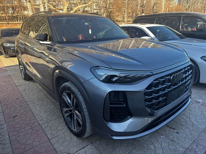 Audi Q6 2023 2023款 45 TFSI quattro 黑武士版 Light