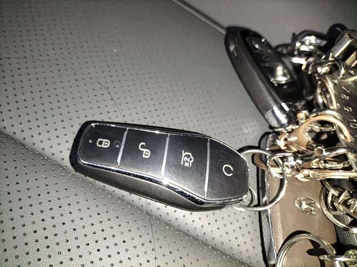 BYD Qin L 2025 2025款 DM-i 智驾版 120KM领先型