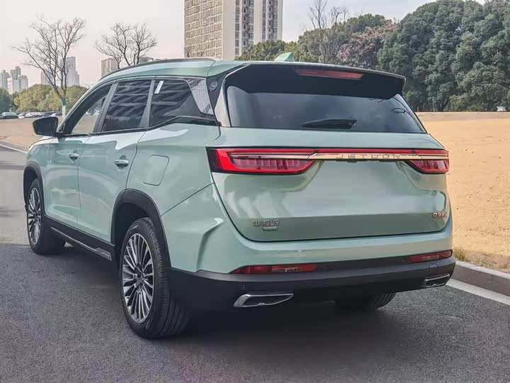 Jetour Shanhai L9 2024 2024款 1.5TD 2DHT Pro 7座