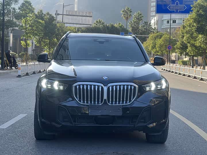 BMW X5 2024 2024款 xDrive 40Li 尊享型黑焰限量版