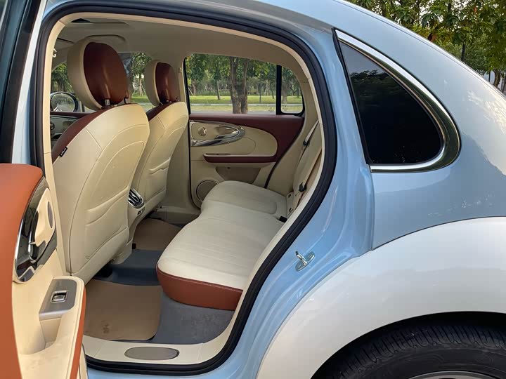 Ora Ballet Cat 2023 2023款 401km 尊贵型