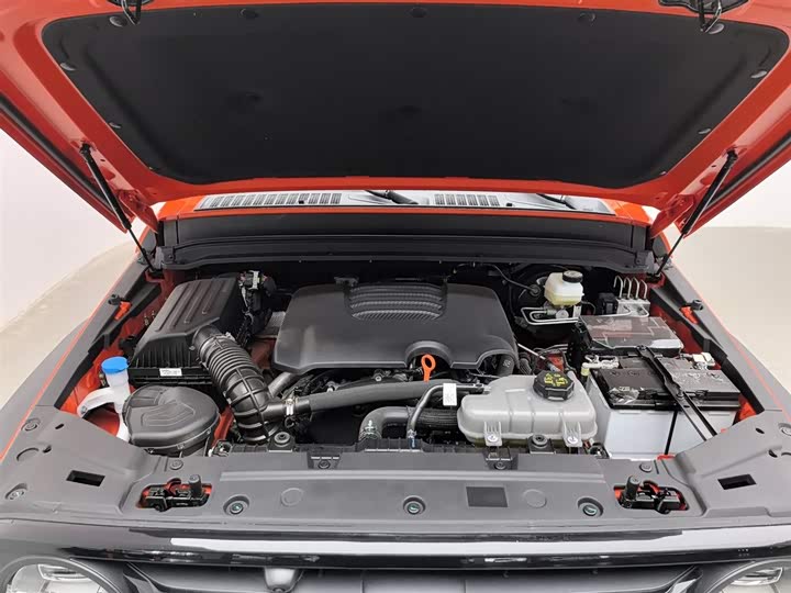 Tank 300 2024 2024款 2.0T 征服者