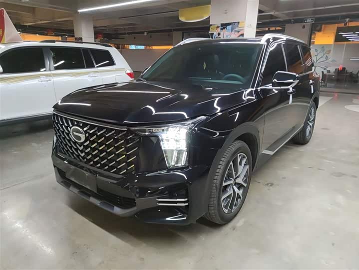 GAC Trumpchi GS8 2025 2025款 领航系列 2.0TGDI 两驱豪华版 5座
