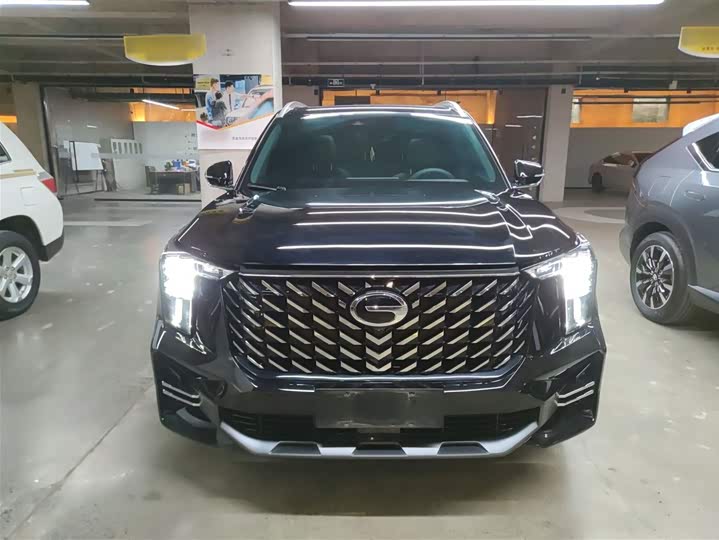 GAC Trumpchi GS8 2025 2025款 领航系列 2.0TGDI 两驱豪华版 5座