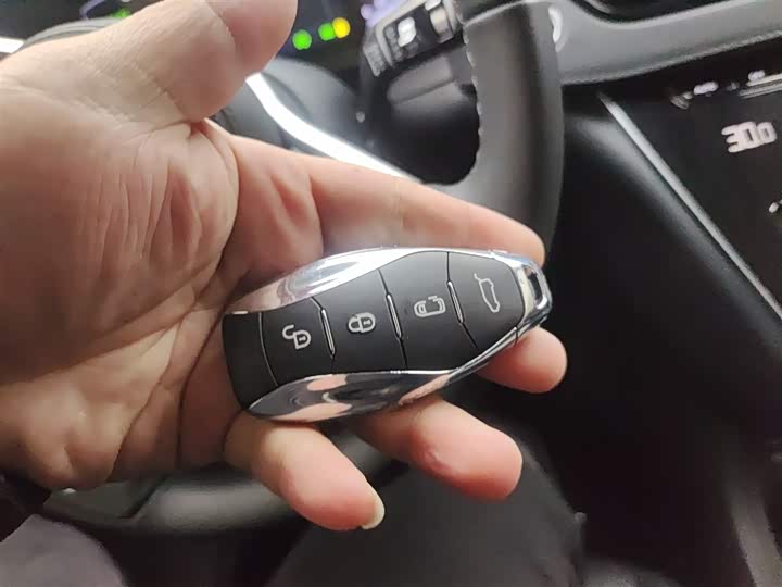 Hongqi HQ9 Hybrid 2024 2024款 2.0T 四驱商务版