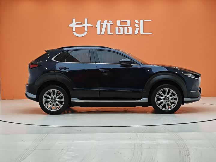 Mazda CX-30 EV 2021 2021款 纯电尊享版