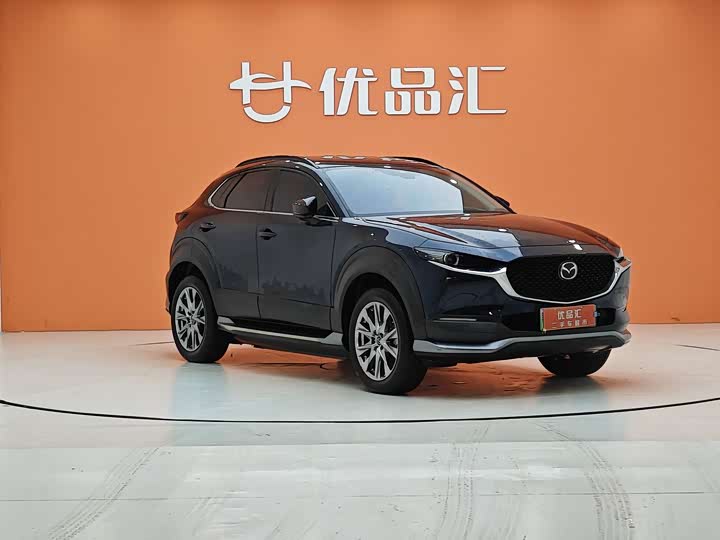 Mazda CX-30 EV 2021 2021款 纯电尊享版
