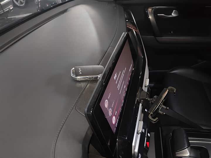 Kia Sportage GT-line 2021 2021款 Ace 2.0L 挑战版