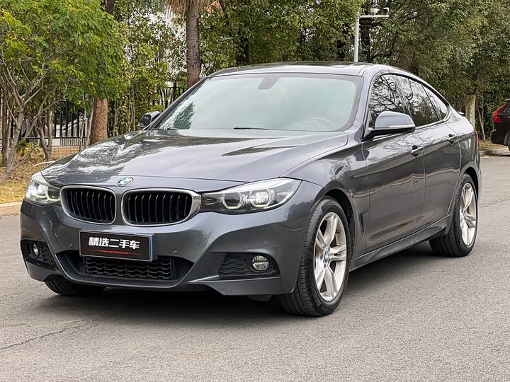 BMW 3 Series GT 2020 2020款 320i M运动套装