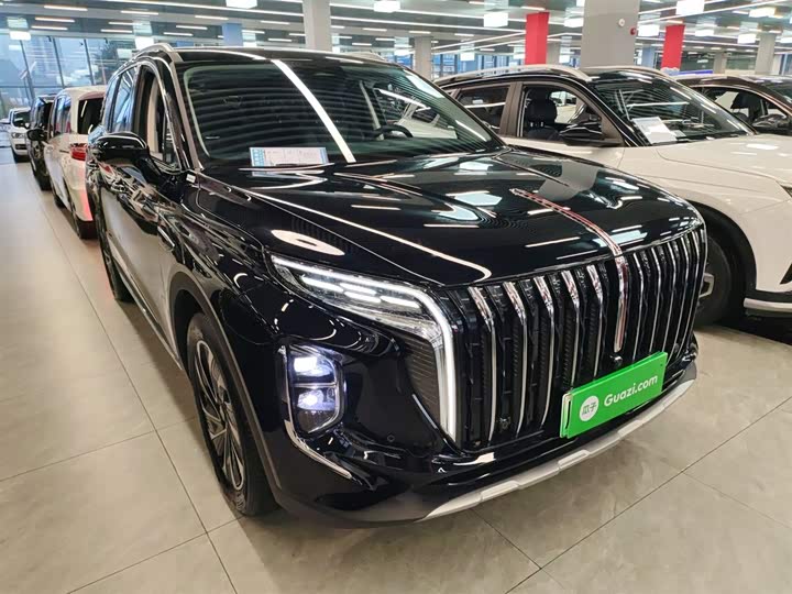 Hongqi HS7 Hybrid 2024 2024款 2.0T PHEV 四驱旗畅版 6座