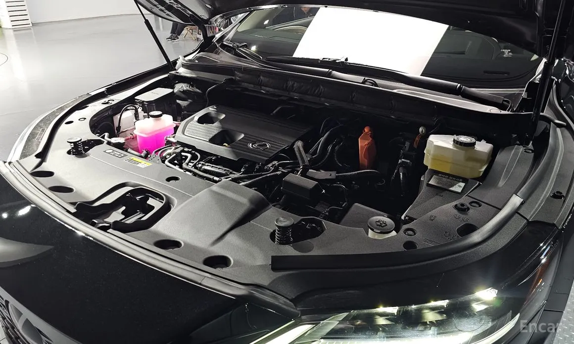 Lexus RX 2023 Luxury