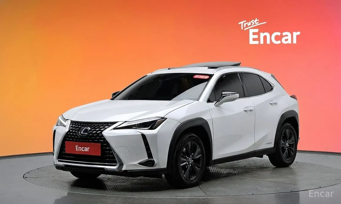 Lexus UX 2019 2.0 2WD