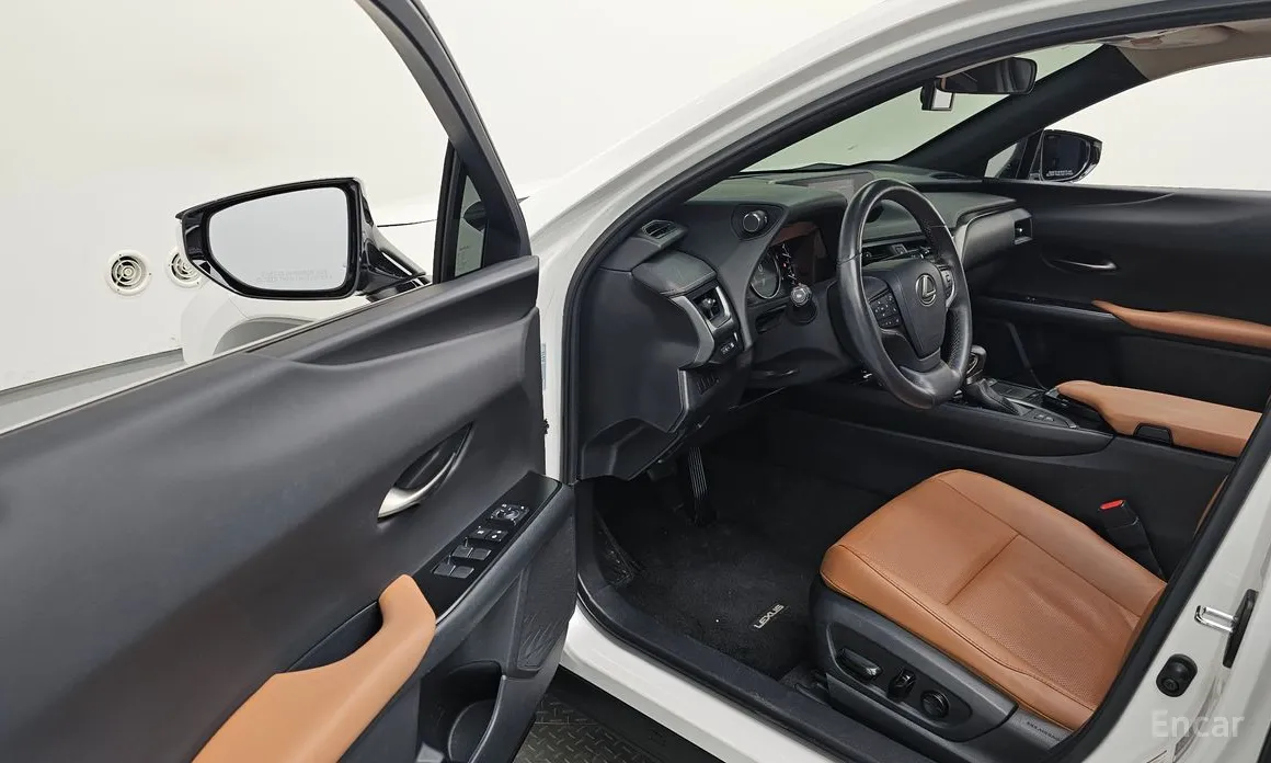 Lexus UX 2019 2.0 2WD