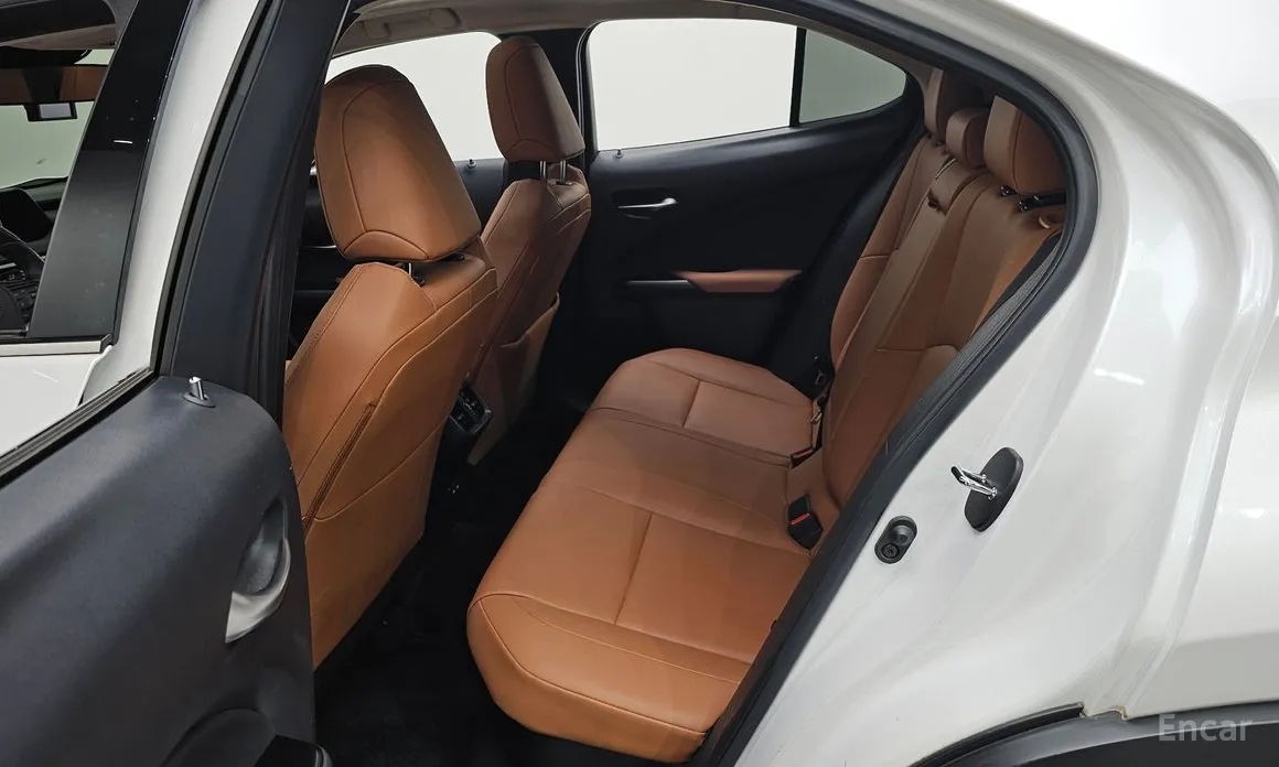 Lexus UX 2019 2.0 2WD