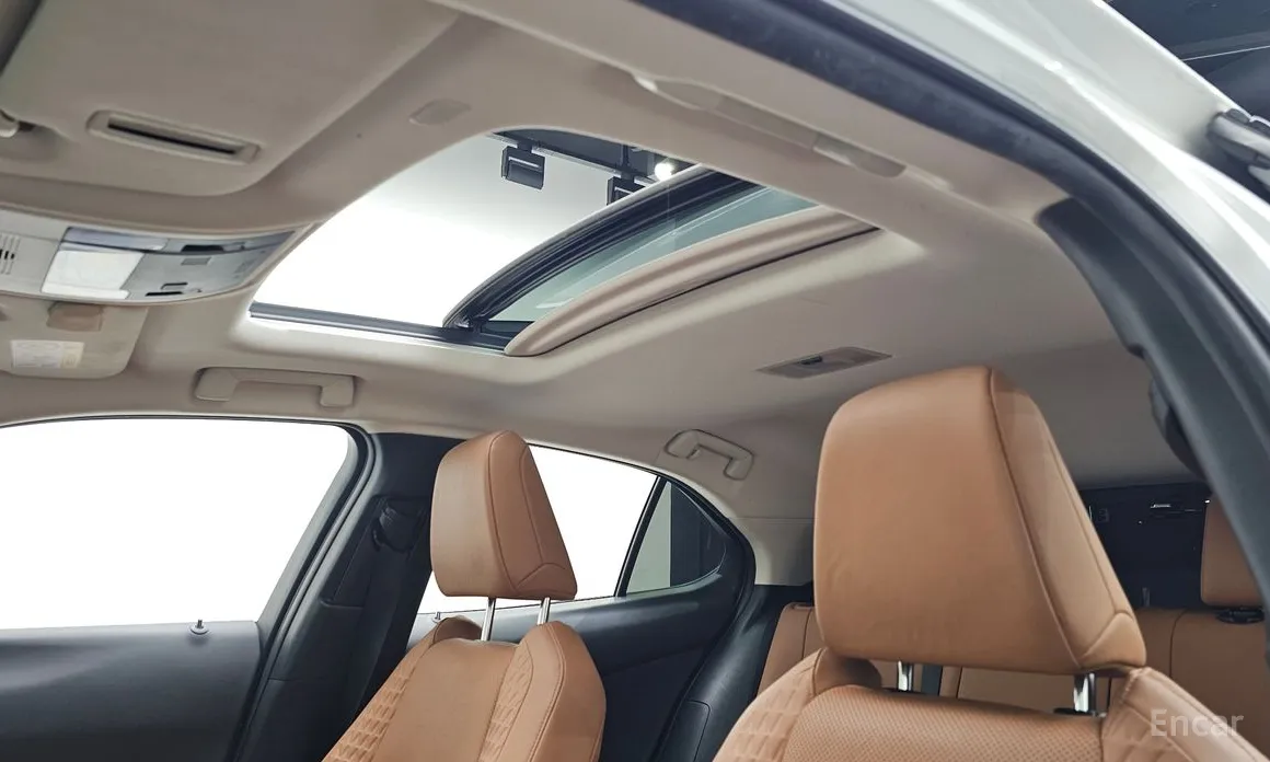 Lexus UX 2019 2.0 2WD