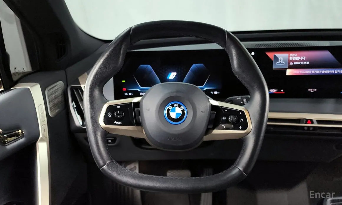 BMW iX 2021 xDrive40 First Edition