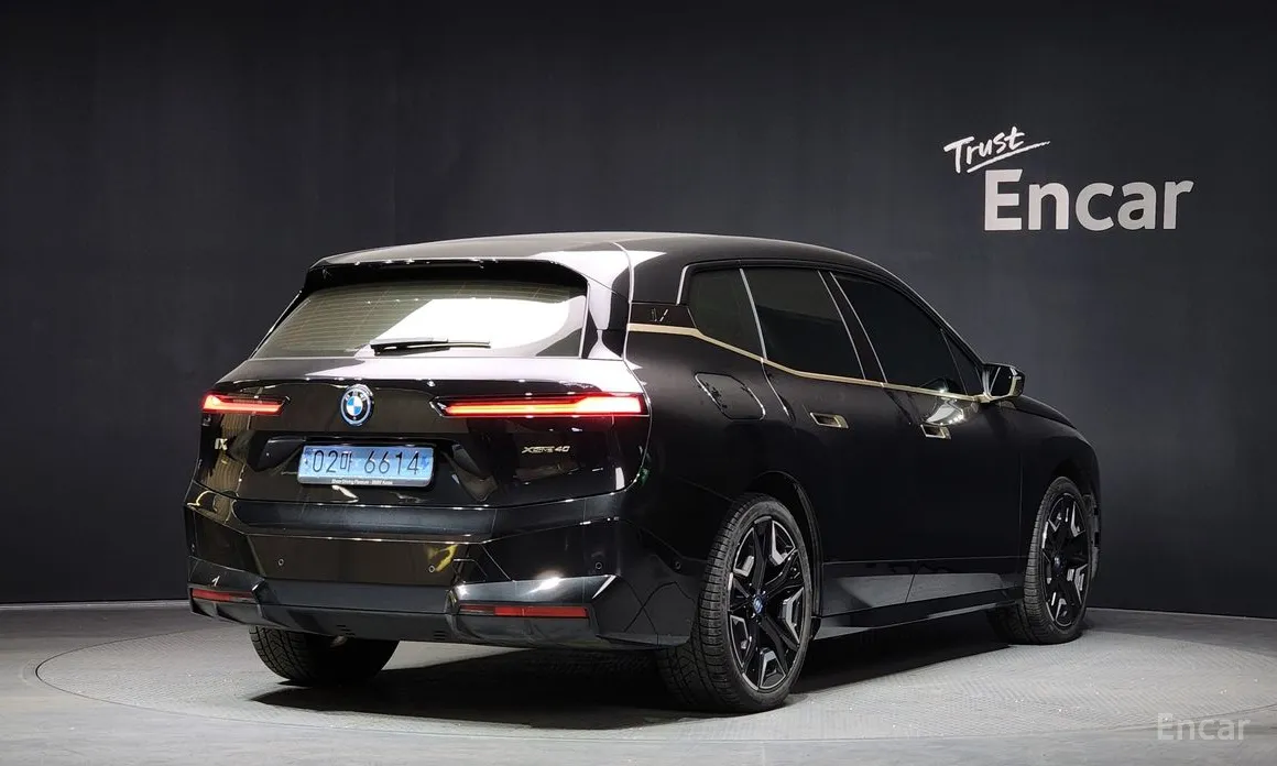 BMW iX 2021 xDrive40 First Edition