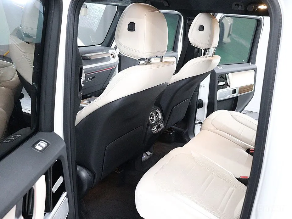 Mercedes-Benz G-Class 2024 G450d