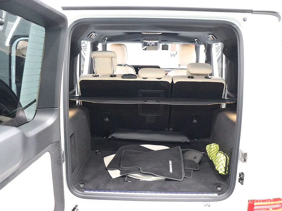 Mercedes-Benz G-Class 2024 G450d