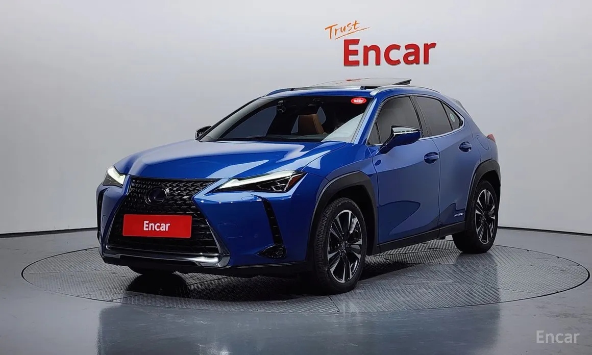 Lexus UX 2019 2.0 AWD
