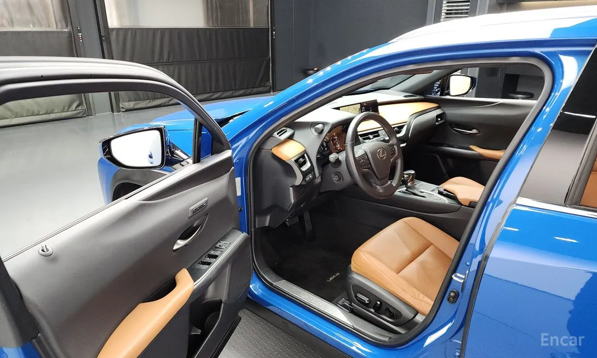 Lexus UX 2019 2.0 AWD