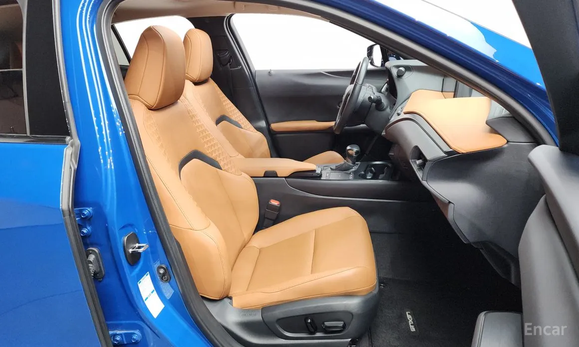 Lexus UX 2019 2.0 AWD