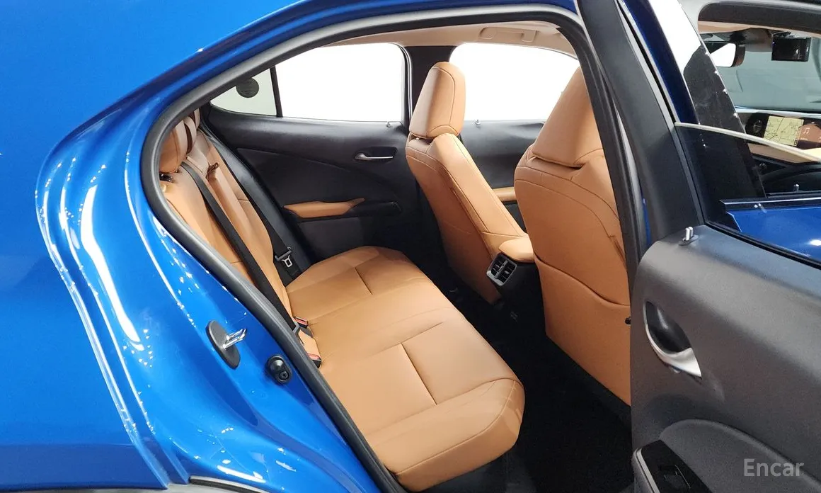 Lexus UX 2019 2.0 AWD