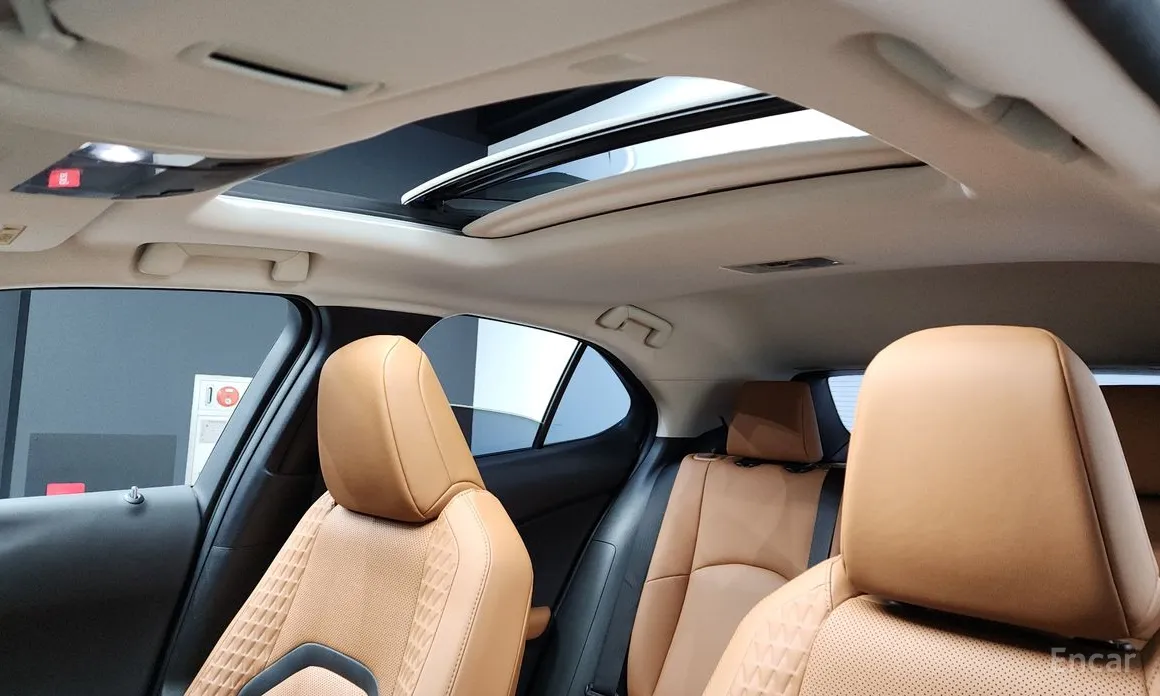 Lexus UX 2019 2.0 AWD