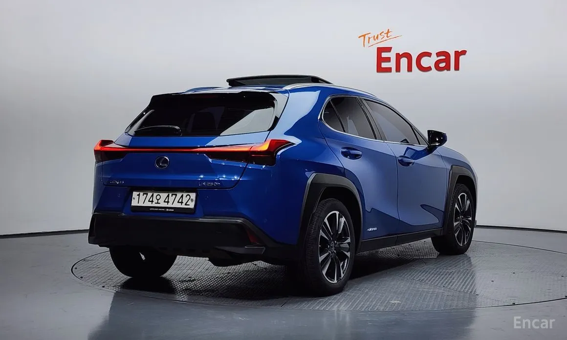 Lexus UX 2019 2.0 AWD