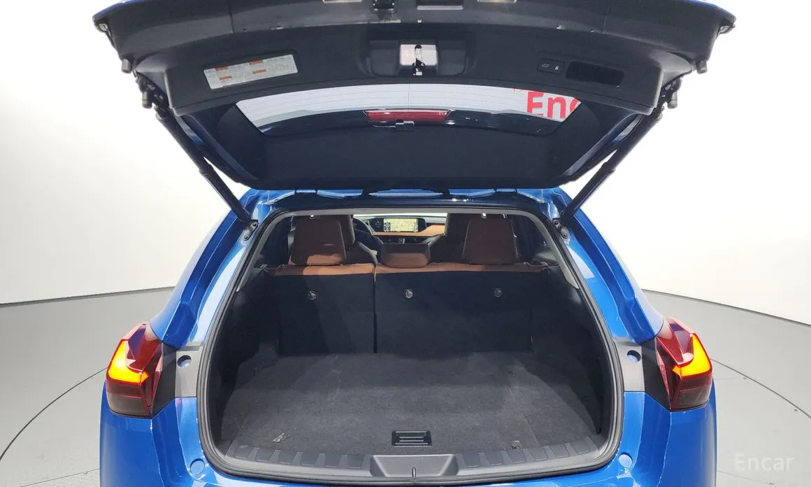 Lexus UX 2019 2.0 AWD