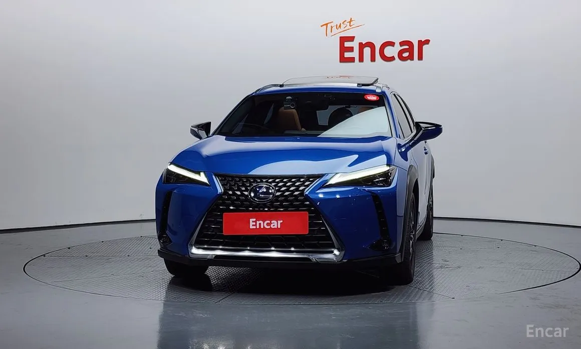 Lexus UX 2019 2.0 AWD