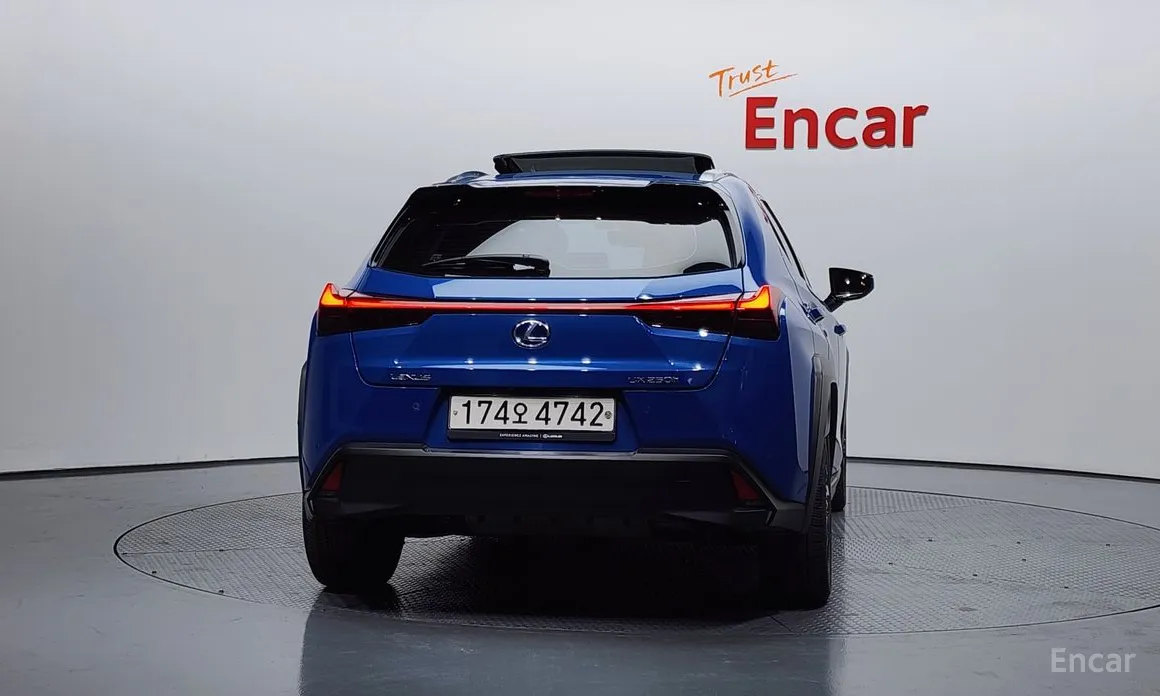 Lexus UX 2019 2.0 AWD