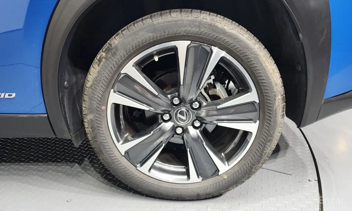 Lexus UX 2019 2.0 AWD